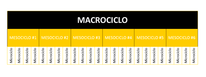 Macrociclo programación de entrenamiento - Entrada blog Apeced