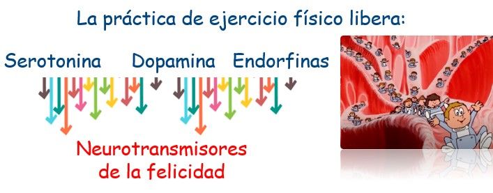 neurotransmisores noticia apeced