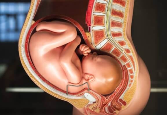 Actividad física en el embarazo noticia apeced 4